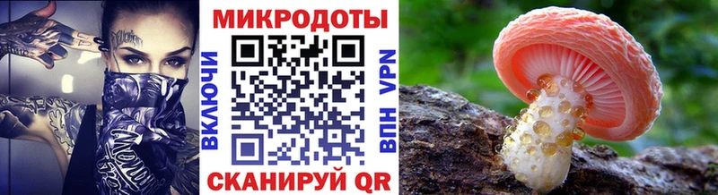 хочу наркоту  Тырныауз  Псилоцибиновые грибы мухоморы 